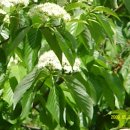 한우막사 이미지