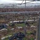 대목농장 이미지