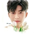 탑온라인 이미지