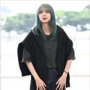 다미 이미지