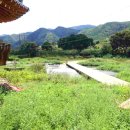 일연테마로드 이미지