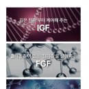 코코린느 이미지