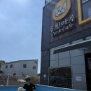 솔빈마루 | 내돈내산 솔빈마루 고양이카페 물놀이 후기