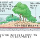 옥상정원의설치 이미지