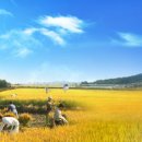 도니울마을 이미지