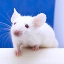 솔잎좌훈한의원 이미지