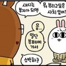 사치 이미지