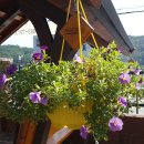 진교면사무소 이미지