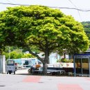 심포버스정류장 이미지