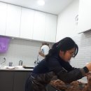 허동물병원