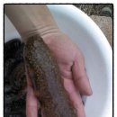 대곡 바다 이미지