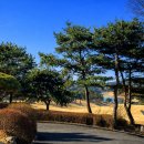 그린밸리가든 | 경상도골프여행/여주 "스카이밸리CC"/제니와 골프투어