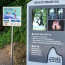 11월의 거제, 거제도 가볼만한 곳 및 현지인맛집 (외도/근포땅굴/바람의언덕/거제파노라마케이블카/노자산)