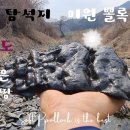 뽈록이네