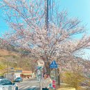 서시천자전거길1 이미지