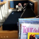 올리브낭 이미지