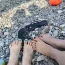 등대김밥 이미지