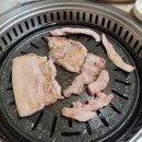 강쇠네흑돼지 이미지