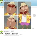 8월 제주살이 일상기록