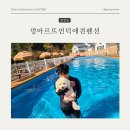 멍마르뜨언덕애견펜션