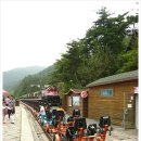 침곡농장 네이버블로그