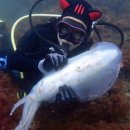 다이브투게더리조트 이미지