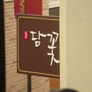 꽃:담