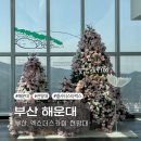 Busan-Infi | 부산 해운대 | 엘시티 스타벅스가 있는 100층 전망대 [부산 엑스더스카이 전망대]