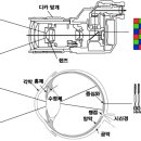 디자인다다 네이버블로그