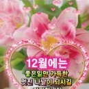 희망의메세지 이미지