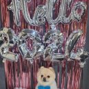 주견야DOG 이미지