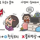 [30] '천정부지'와 '풍비박산' 이미지