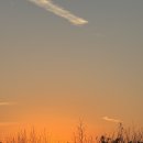 새고은메디컬약국 | 언제든지 찾을수있는 김포 24시 무인 꽃집 그로브블룸,특별한 날 소중한 사람에게 잊지못할 선물로 고급...