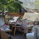 솔밭공원2 이미지