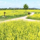 빠져봅시다 이미지