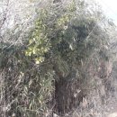 소구월사거리 이미지