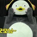 수민이네 이미지