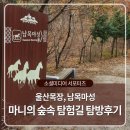남목 목관비 | 울산목장, 남목마성, 마니의 숲속 탐험길 탐방후기