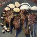 나린오토캠핑장 이미지