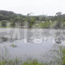 양촌리.동양촌 이미지