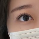 주차49 | 강동구 성내동 둔촌동역 속눈썹 연장 잘하는 곳 "웨이빈" 클래식 연장 후기