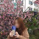 마온게스트하우스