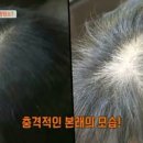 다모 태후사랑 네이버블로그