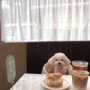 어스베이글 이미지