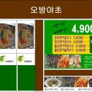 오방야초 네이버블로그