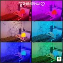 마음과마음한의원 | 화명동 피부관리실 , 덕천 피부관리실 부산 컬러테라피란 진짜후기는 여기에!!