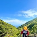 7615 | 네파 칸네토 트랙션 GTX 로우 입문용 등산화 한라산 후기!(7KC7615)