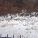 깊이울관광농원(깊이울 캠핑장) 이미지