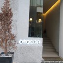 오네스타(onesta) 이미지