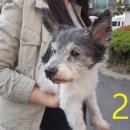 작전 현대3차아파트 이미지